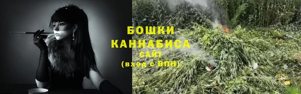 прущие грибы Покров