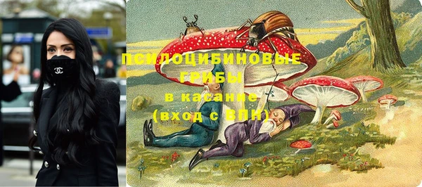 прущие грибы Покров