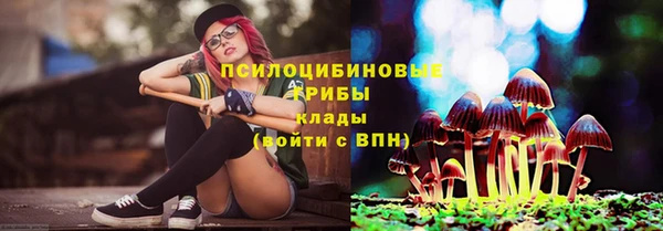 ГАЛЛЮЦИНОГЕННЫЕ ГРИБЫ Аркадак