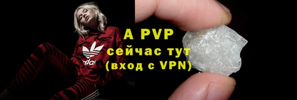 прущие грибы Покров