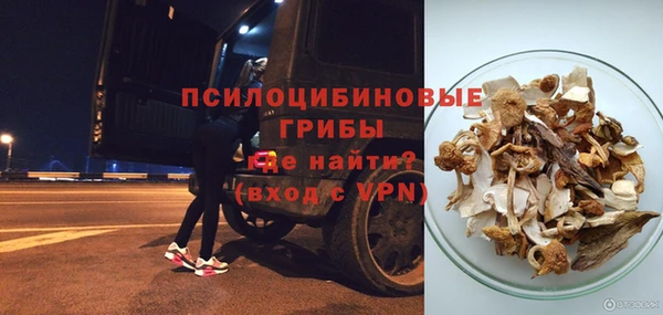 прущие грибы Покров