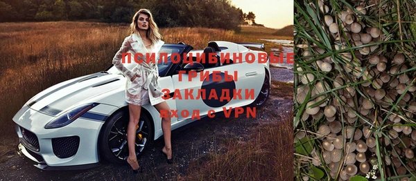 прущие грибы Покров
