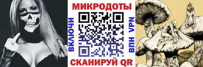 Галлюциногенные грибы мицелий Суоярви