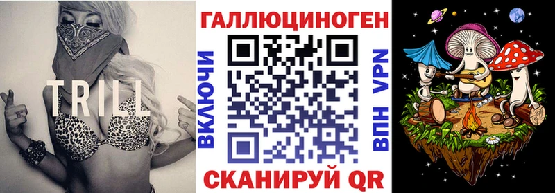 Галлюциногенные грибы Psilocybine cubensis  Суоярви 